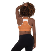 Load image into Gallery viewer, Harmony: Love Gratitude & Abundance Sports Bra