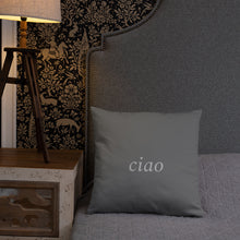 Load image into Gallery viewer, Florence, Italy: Light Pillow
