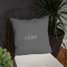 Load image into Gallery viewer, Florence, Italy: Light Pillow
