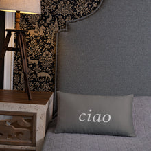 Load image into Gallery viewer, Florence, Italy: Dusk Pillow
