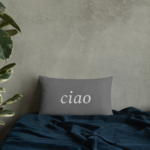 Load image into Gallery viewer, Florence, Italy: Dusk Pillow
