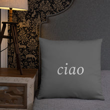 Load image into Gallery viewer, Florence, Italy: Dusk Pillow
