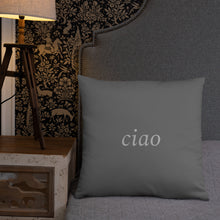 Load image into Gallery viewer, Florence, Italy: Light Pillow
