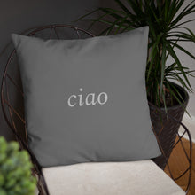 Load image into Gallery viewer, Florence, Italy: Light Pillow
