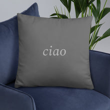 Load image into Gallery viewer, Florence, Italy: Light Pillow
